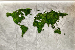 mapa-swiata-z-podswietleniem